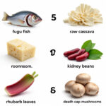 Infographic collage of 5 deadly foods including fugu, cassava, rhubarb, kidney beans, and death cap mushroom with labels
