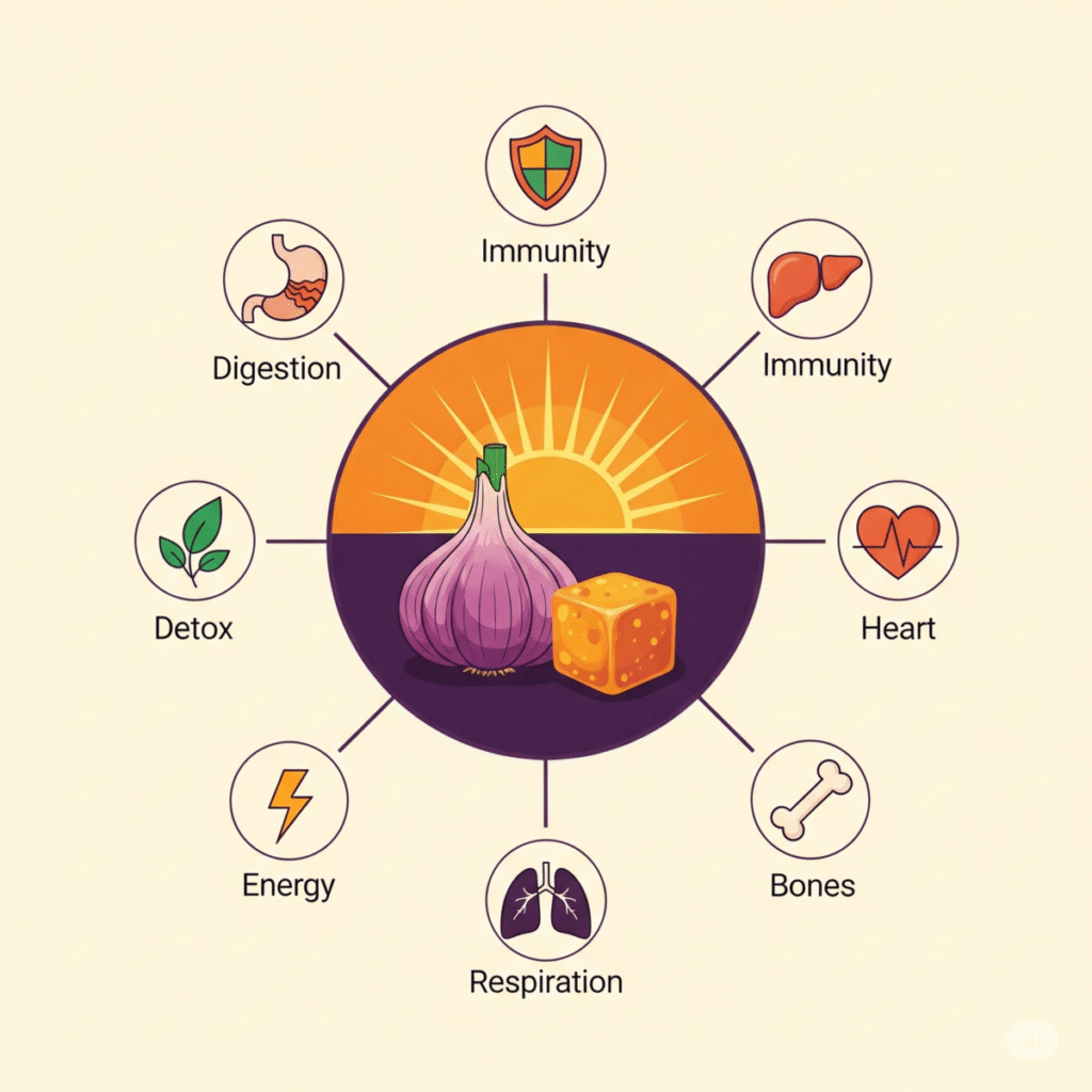 Infographic: 7 key health benefits of eating garlic with jaggery, including improved digestion, stronger immunity, and natural detoxification.
